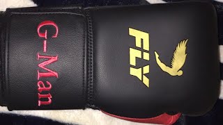 FLY BOXING GLOVE REVIEW [upl. by Tedder]