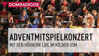 DIE HÖHNER IM KÖLNER DOM  Adventmitspielkonzert 2022 im Kölner Dom 041222 [upl. by Range169]