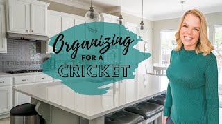 NEW Organizing Ideas and Tips for Crickets [upl. by Iaw]