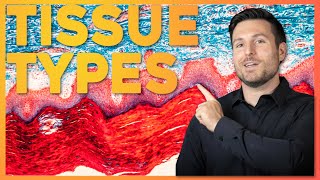 Intro to Histology The Four Tissue Types  Corporis [upl. by Chaves]