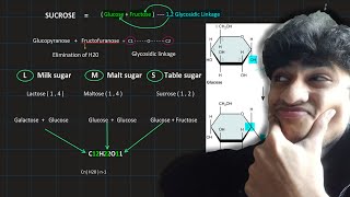 Carbohydrates Part 1  The Mdcat World [upl. by Bussy]