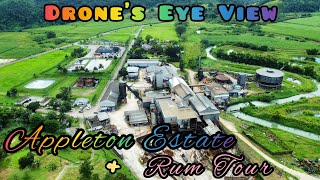 Appleton Estate amp Appleton Rum Tour St Elizabeth  Experience of a Lifetime  Drones Eye View [upl. by Amsden953]