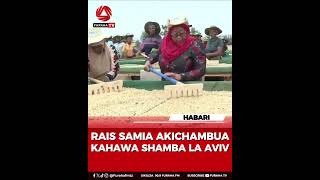 RAIS SAMIA AKICHAMBUA KAHAWA RUVUMA [upl. by Olga]