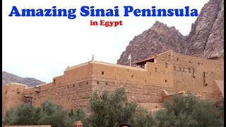 Amazing Sinai Peninsula in Egypt [upl. by Azeret295]