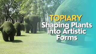 Topiary Shaping Plants into Artistic Forms [upl. by Durgy528]