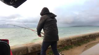 Fishing Mornington Peninsula for Australian Salmon [upl. by Nyladnor]