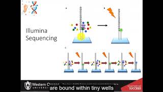 CH450 Chapter 512 DNA Sequencing Techniques [upl. by Patti]