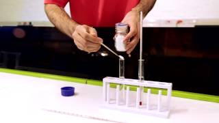 CTSC practical experiment Endothermic amp exothermic reactions [upl. by Awjan]