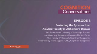 Conversations Episode 8  Protecting the Synapse from Amyloid Toxicity in Alzheimers Disease [upl. by Gregorius]