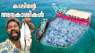 കടലിൽ മീൻ പിടിക്കാൻ കടലിന്റെ മക്കളുടെ ഒപ്പം  Sea Fishing  Day In My Life  M4 Tech [upl. by Wina380]