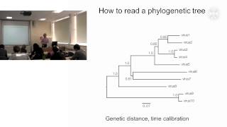 1 Phylogenetic analysis of pathogenslecture  part1 [upl. by Netsrijk353]