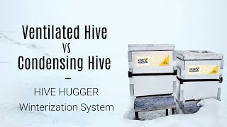 Fall 2024 Vented Hive vs Condensing Hive and Intro to Hive Hugger Insulation System [upl. by Zelikow]