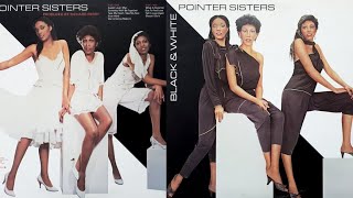 The Pointer Sisters  Slow Hand 1981 HQ [upl. by Atinar376]