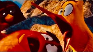 Angrybird movie ytple cri de aigle vaillant [upl. by Giesser898]