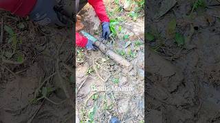 Drain Blockages Essential Tips for Unclogging Pipes blockedpipe shorts video viralvideo short [upl. by Halden575]