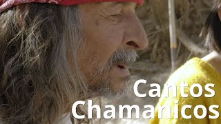 Cantos Chamánicos con Don Rafa [upl. by Ellett994]