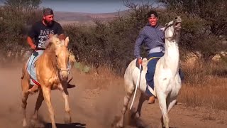 Carreras de Caballos Los Haro Jerez 2016 [upl. by Lipcombe81]