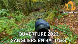 BATTUES AUX SANGLIERS  OUVERTURE EXCEPTIONNELLE AVEC LE TIR DE DEUX SANGLIERS DANS LA MÊME COULÉE [upl. by Giffie]