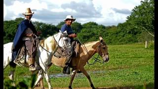 poema el cazador novato [upl. by Evy]