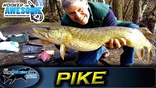 Pike fishing for Beginners  Deadbaiting and Floats  TAFishing [upl. by Thorley]