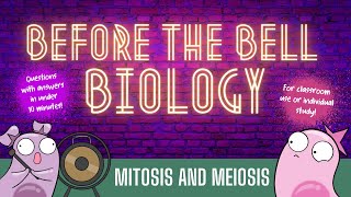 Mitosis and Meiosis Before the Bell Biology [upl. by Ahsekim]