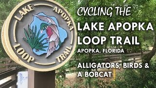 The Lake Apopka Loop Trail by BIKE [upl. by Bullis]