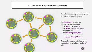 OHBM 2022  2605  Symposium  Wael ElDeredy  Frequencydependent plasticity The reshaping of o… [upl. by Gathard]