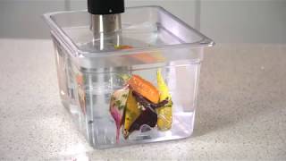 iVide Sous Vide Cooker [upl. by Garneau]