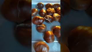 kestane شاه بلوط تنوری، کستانه  Roast chestnuts  ASMR [upl. by Elsworth]