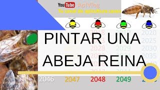 👉Como Pintar una Abeja Reina Interpretar el diagrama de COLORES  Apicultura [upl. by Hembree]