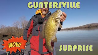 WINTERTIME Shallow CRANKING on GUNTERSVILLE  Surprise Catch [upl. by Calore247]