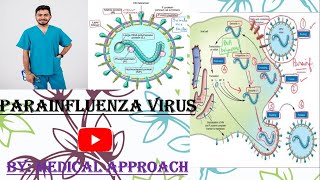 Parainfluenza Virus  Virology  Microbiology [upl. by Stoddard]