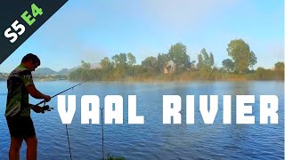 Vaal rivier karp hengel naby Potchefstroom  Vaal River S5E4 [upl. by Eamanna]