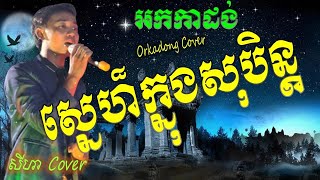 ស្នេហ៍ក្នុងសុបិន្ត Coverសីហា ចម្រៀងអកកាដងSne Knong SoBen Orkhes Orkadong Song Noeurn TyOfficial [upl. by Sebbie536]