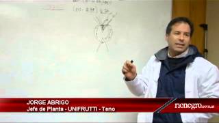 Planta Unifrutti  Teno  Jefe de planta Jorge Abrigo [upl. by Ylas]