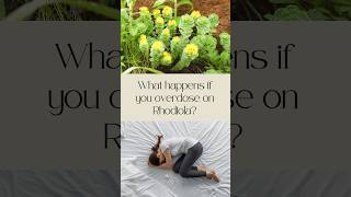 What Happens When You Overdose on Rhodiola [upl. by Nichola]