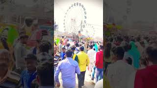 Samar Singh Holi Song 2024  होली में बैगनवा खोजेली  Neha Raj  Holi Me Baiganwa Khojeli dance [upl. by Loos]