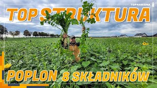 Co na poplon  Top Struktura 🌿 8 składników w mieszance  Top Nasiona [upl. by Budworth456]