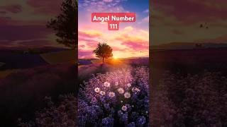 Are you Seeing 111 Angel Number This is going to happen shorts [upl. by Anera]