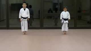 JKA Mahiro amp Masaki practice Heian shodangodan and Tekki shodan part 1 [upl. by Tierney695]