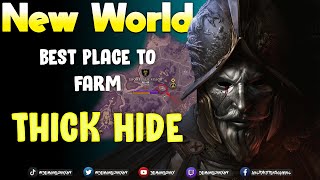 New World  Where to farm Thick Hide [upl. by Shyamal]