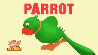 Animal Sounds  Parrot [upl. by Sharon]