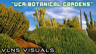 quotUCR Botanical Gardensquot Amazing 4K VLNS Tour 2020 Riverside California [upl. by Mellins]