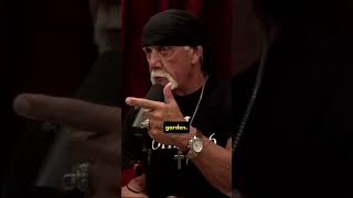 Unveiling Brutal Truth Hulk Hogan amp Joe Rogan Discuss Why Wrestling Is the Toughest Gig of All Time [upl. by Doersten802]