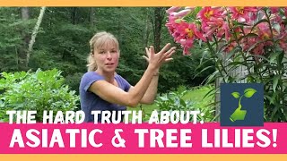 The Hard Truth About Asiatic amp Tree Lilies  Zone 5 Gardening [upl. by Naira5]