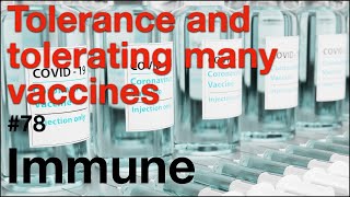 Immune 78 Tolerance and tolerating many vaccines [upl. by Stafani]