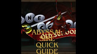 OSRS Abyssal Sire Quick Guide 2024 [upl. by Fogg]