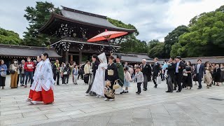 Shinto Wedding amp Grand Meiji shrine Tokyo [upl. by Rempe540]