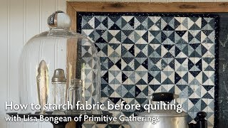 How to starch fabric before quilting with Lisa Bongean  Martingale [upl. by Procto3]