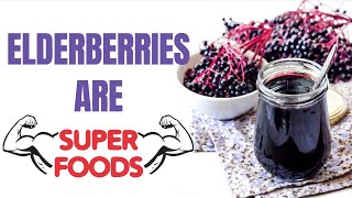 10 Amazing Health Benefits of Elderberry YOU NEED I Elderberry Benefits [upl. by Morena]